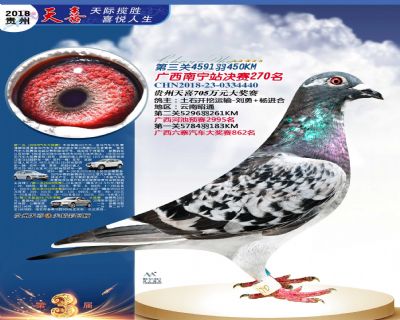 贵州天喜决赛270名