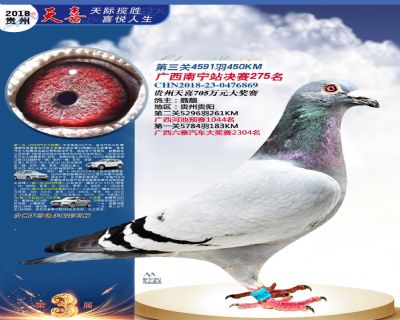 贵州天喜决赛275名