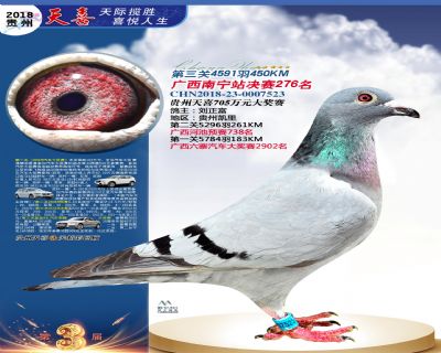 贵州天喜决赛276名
