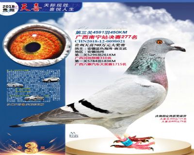 贵州天喜决赛277名