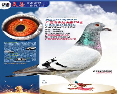 贵州天喜决赛278名