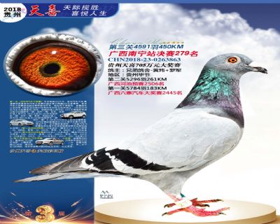 贵州天喜决赛279名