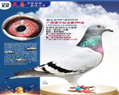 贵州天喜决赛280名