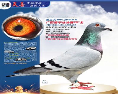 贵州天喜决赛281名