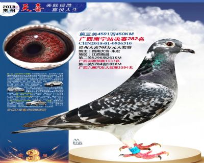 贵州天喜决赛282名