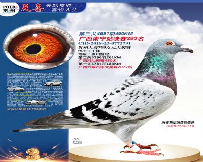 贵州天喜决赛283名