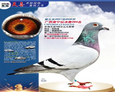 贵州天喜决赛284名