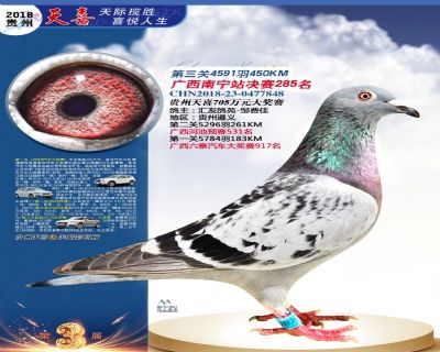 贵州天喜决赛285名