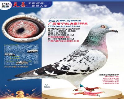 贵州天喜决赛286名