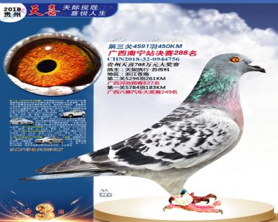贵州天喜决赛288名
