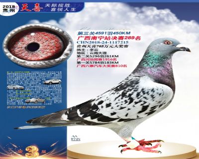 贵州天喜决赛289名