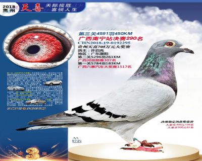 贵州天喜决赛290名