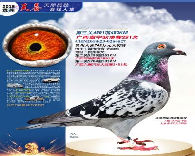 贵州天喜决赛291名