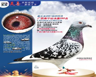 贵州天喜决赛292名