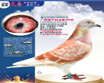 贵州天喜决赛293名