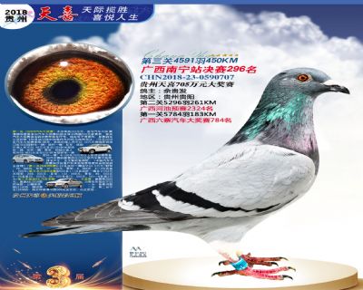 贵州天喜决赛296名