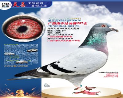 贵州天喜决赛297名