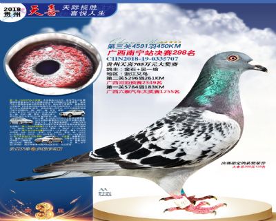 贵州天喜决赛298名