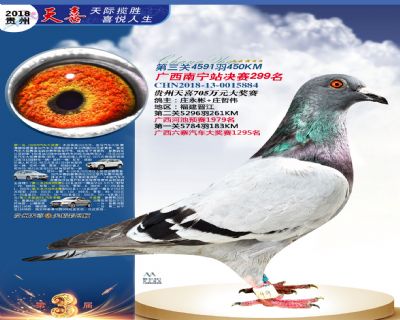 贵州天喜决赛299名