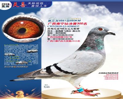 贵州天喜决赛300名