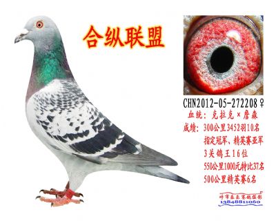 超级战将