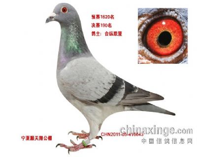 超级完美