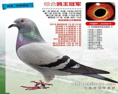 天体有好鸽好鸽在天体!2018年第三十七期简介