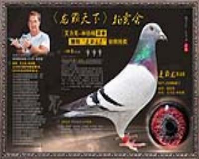 速霸龙848