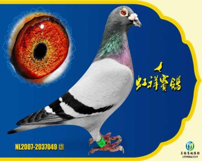盖斯彼得斯原舍
