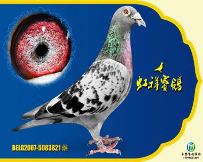 乔斯托内原舍