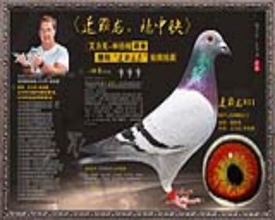 速霸龙811