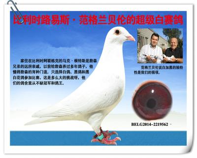 斯赫伦斯.凡格拉姆贝伦原舍