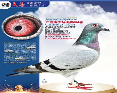贵州天喜决赛394名