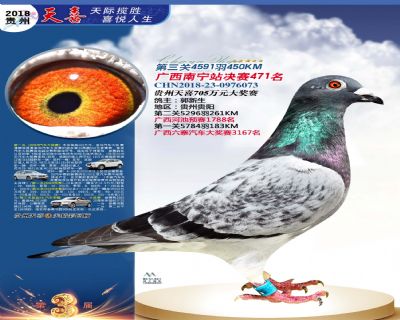 贵州天喜决赛471名