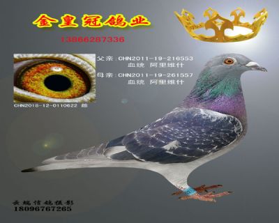 F6FCC83A87305500EC490921052C0169