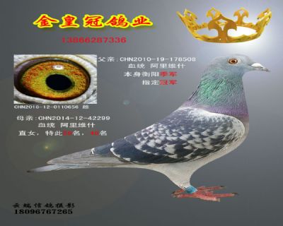DA8C4622D0B9CABF136789978168EF47