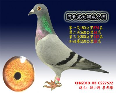 加站赛37名