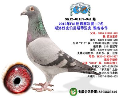 2012年FCI世锦赛决赛117名