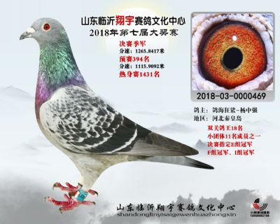 山东翔宇决赛季军