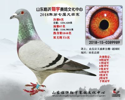 山东翔宇决赛8名