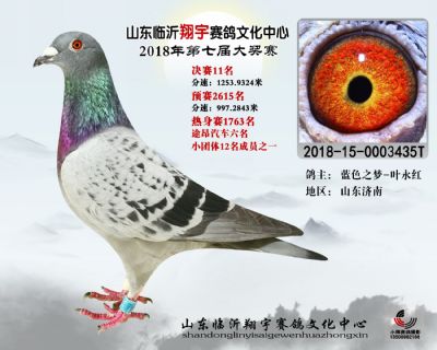 山东翔宇决赛11名