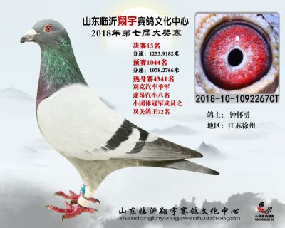 山东翔宇决赛13名