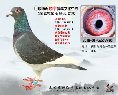 山东翔宇决赛14名