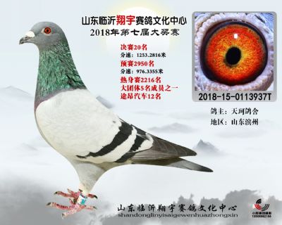 山东翔宇决赛20名