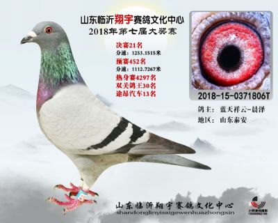 山东翔宇决赛21名