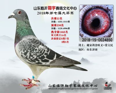 山东翔宇决赛22名