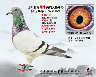 山东翔宇决赛23名