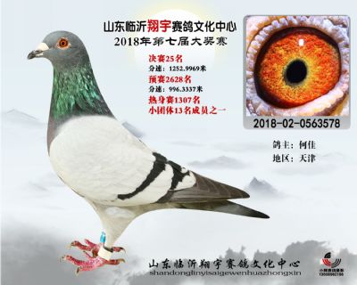 山东翔宇决赛25名