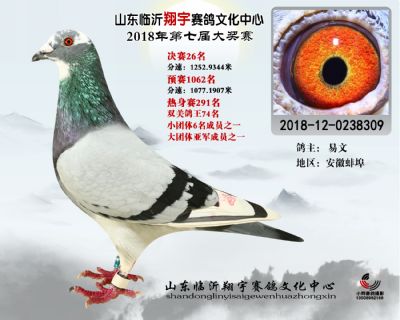 山东翔宇决赛26名
