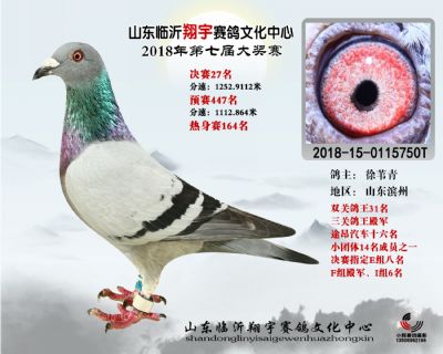 山东翔宇决赛27名